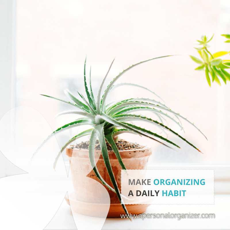 An aloe plant in a terracotta pot sits on a white windowsill with another plant partially visible in the background. Text overlay reads, "Make organizing a daily habit," emphasizing the beauty of structured spaces. Visit www.apersonalorganizer.com for more tips.