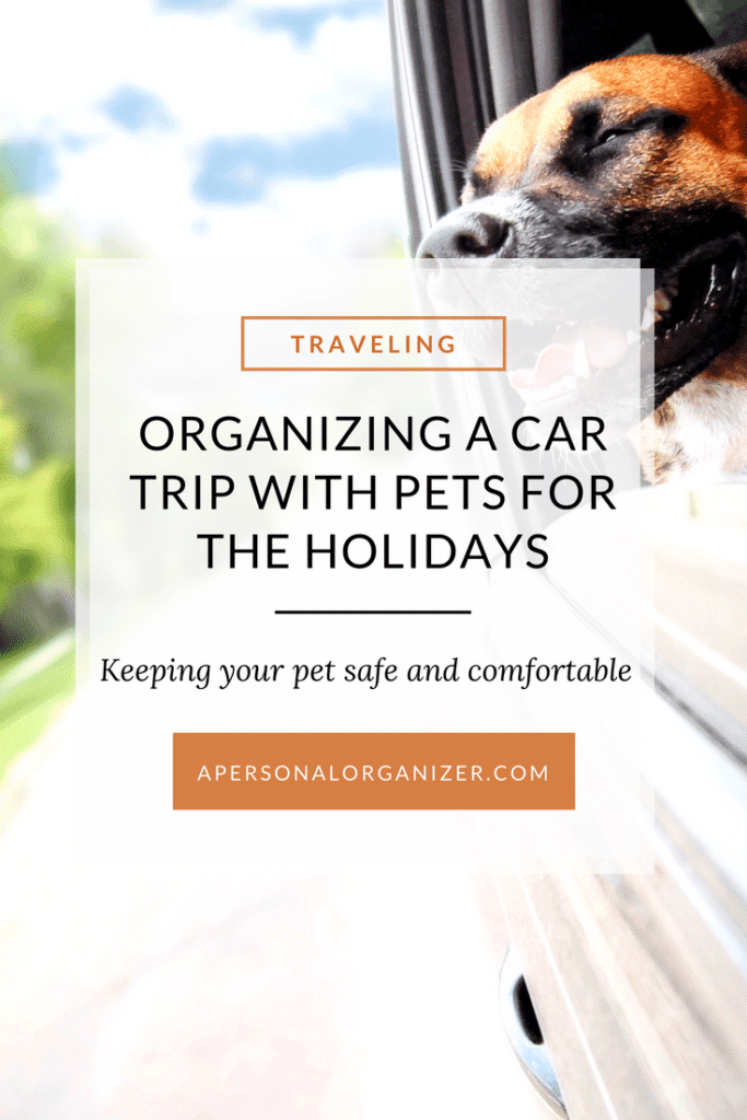 Tips for a car trip with your pet this holiday season.