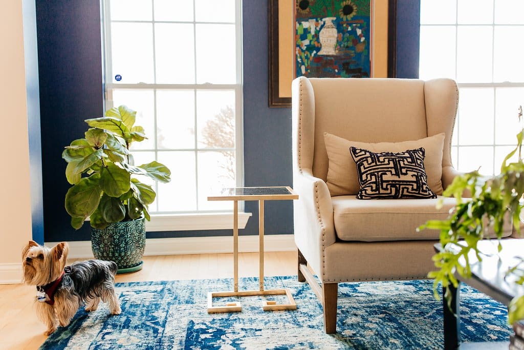 A small dog stands near a potted plant in a bright room with large windows, a patterned rug, and cozy decor—perfect for a home tour scene.