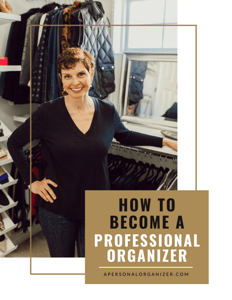 eBook How to Become a Professional Organizer by Helena Alkhas.