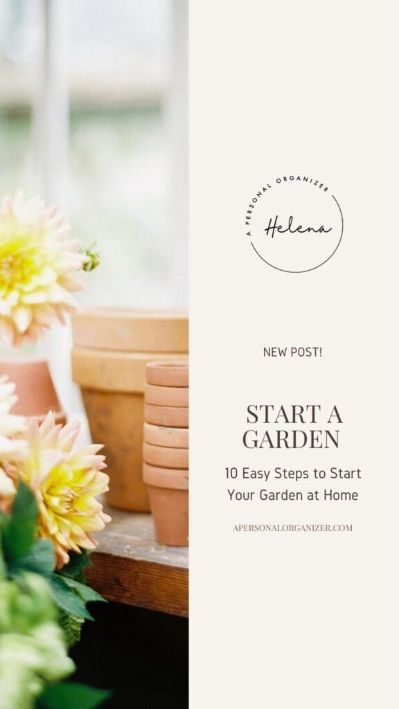 10 Easy Steps To Start A Garden At Home